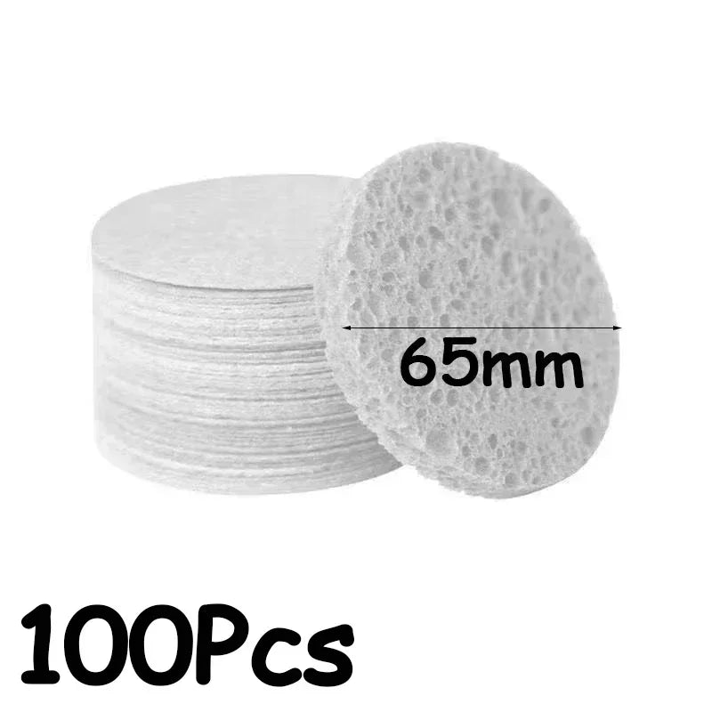 42300049162319